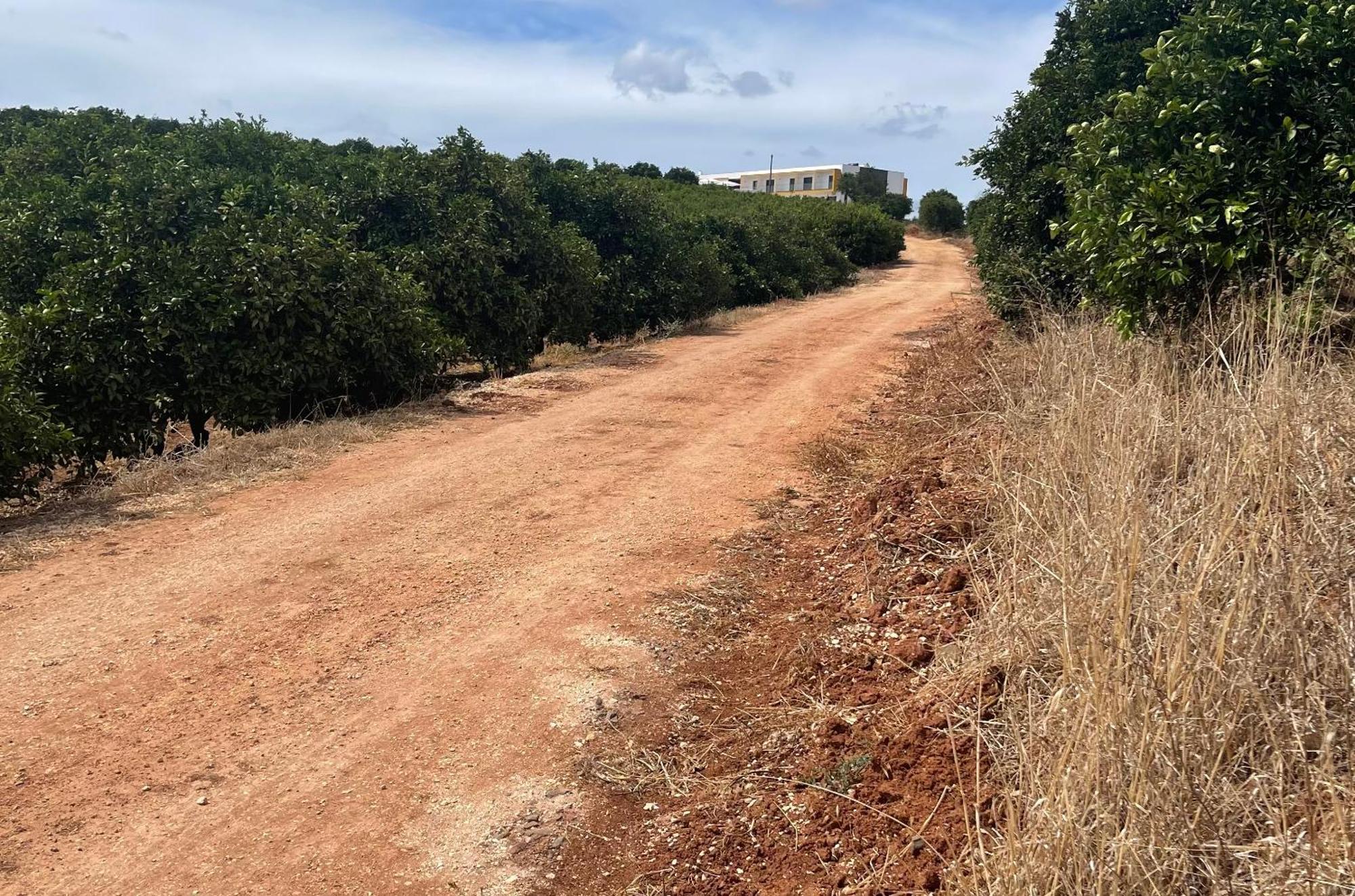 Orange Grove Residence Silves Eksteriør bilde
