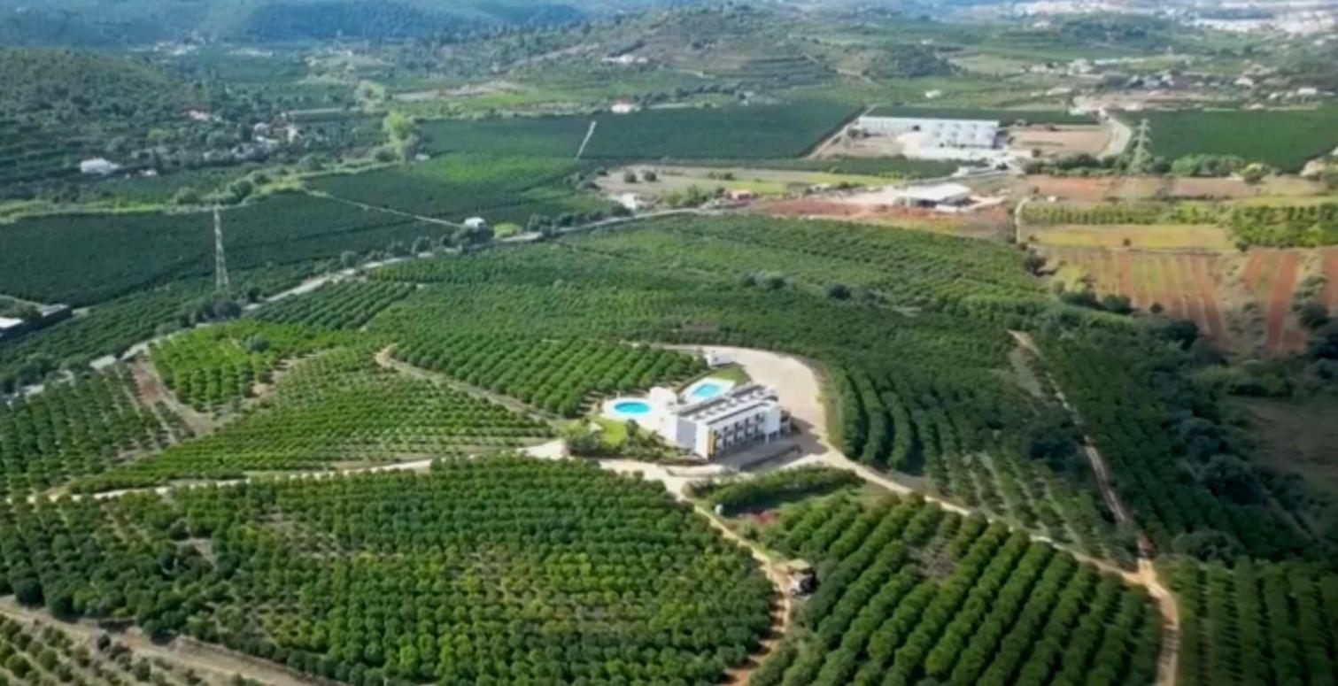 Orange Grove Residence Silves Eksteriør bilde